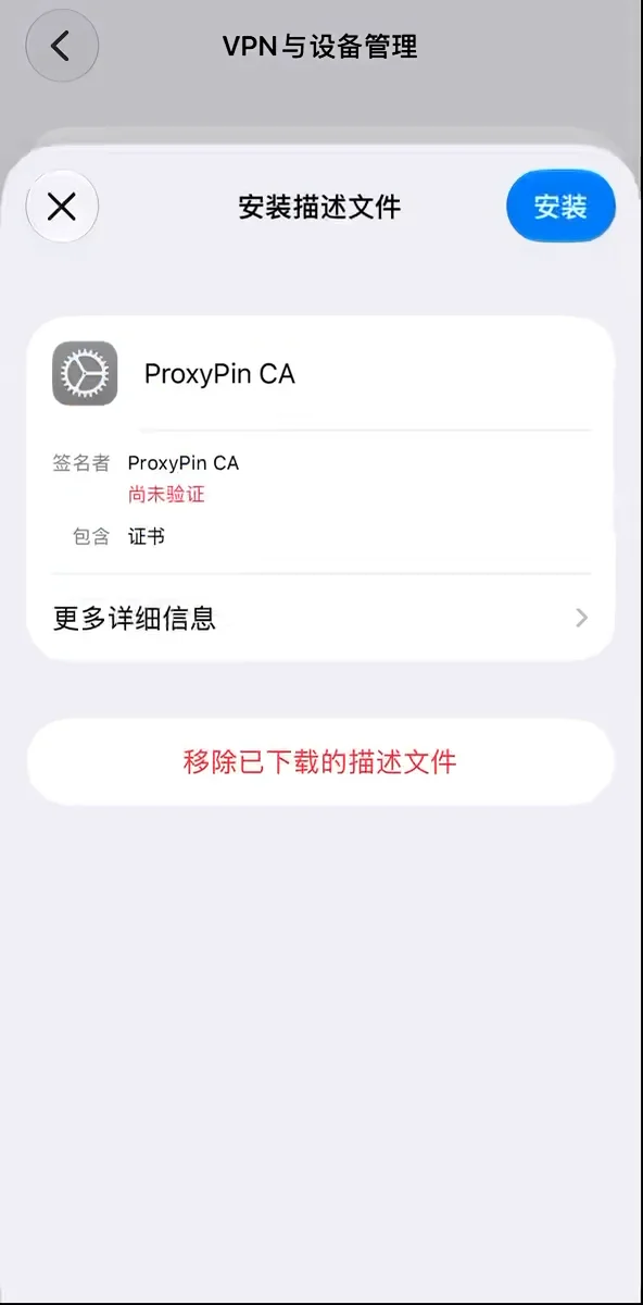 iPhone 设置中的安装描述文件页面